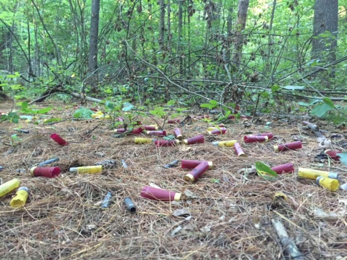 Target shooting in forest, on trail near Wilton mall banned