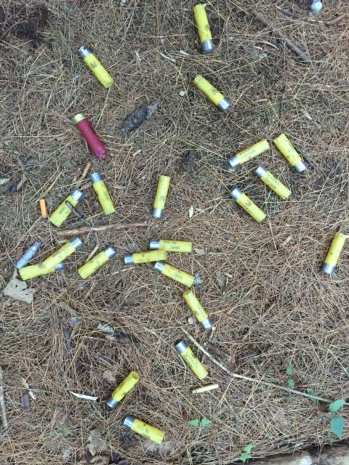 Target shooting in forest, on trail near Wilton mall banned