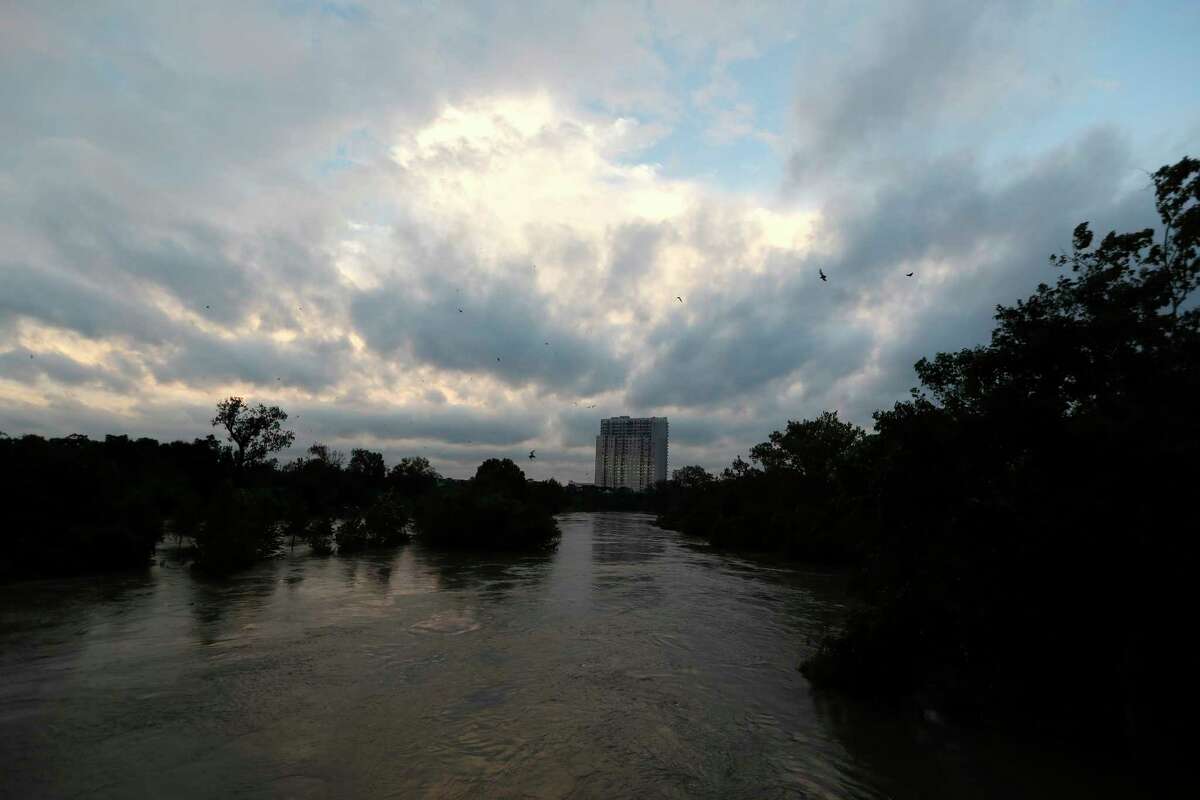 Popular Waugh bridge bat colony crippled by Harvey