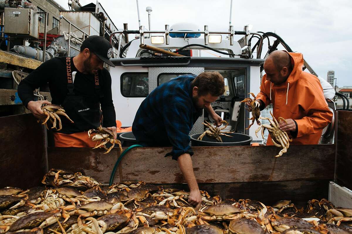 From the left, Brendan Moore, Captain Aaron Lloyd and John Buich unload the Dungeness crab by hand at Pier 45 in San Francisco, Calif. Wednesday, November 15, 2017.