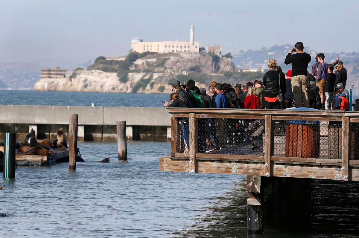 Guests gather to watch the famous sea lions at Pier 39 in San Francisco.