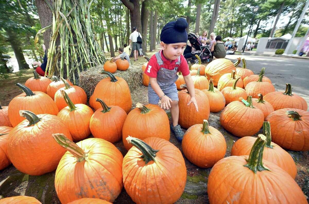 Seymour Pumpkin Festival is on its way