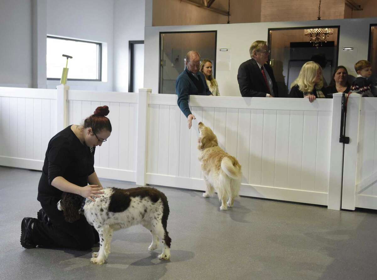 Stamford petcare center touts ‘Four Seasons’ experience