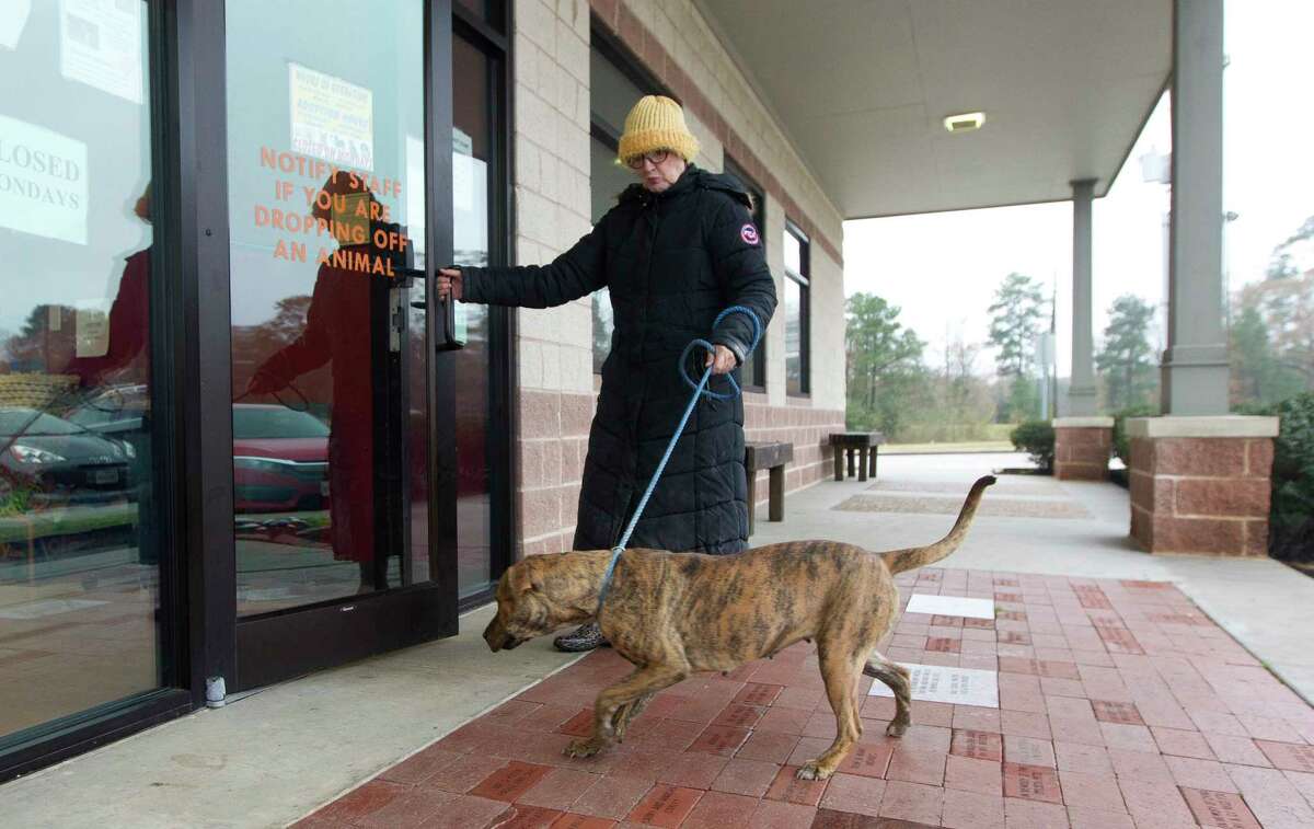 Holidays and microchips help Conroe, Montgomery County animal shelters