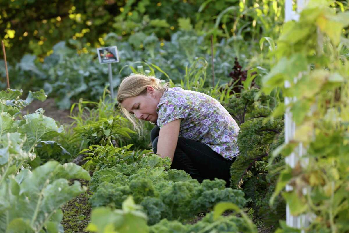Why can't urban farming feed Houston?