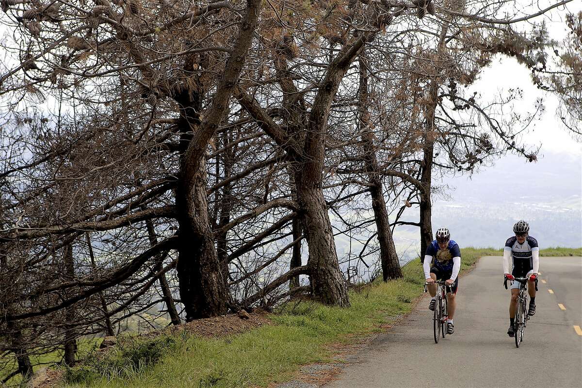 Two cyclists ride up Mount Diablo, where a road safety program reduced the average number of cycling accidents per year in half, from an average of 23 to 11.