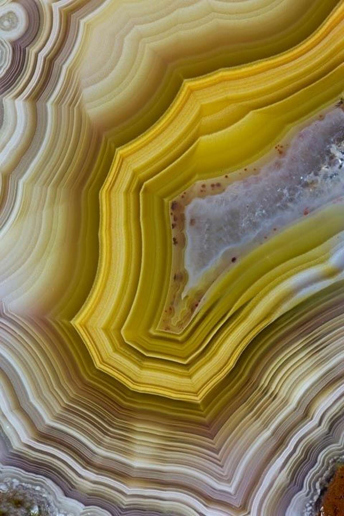 10) Agate Wallpaper "Geode and agate wallpaper will become more popular in the mass market," says Soto. "Now you see it in small boutiques, but I think it's going to become more prevalent in the Targets and HomeGoods of the world."