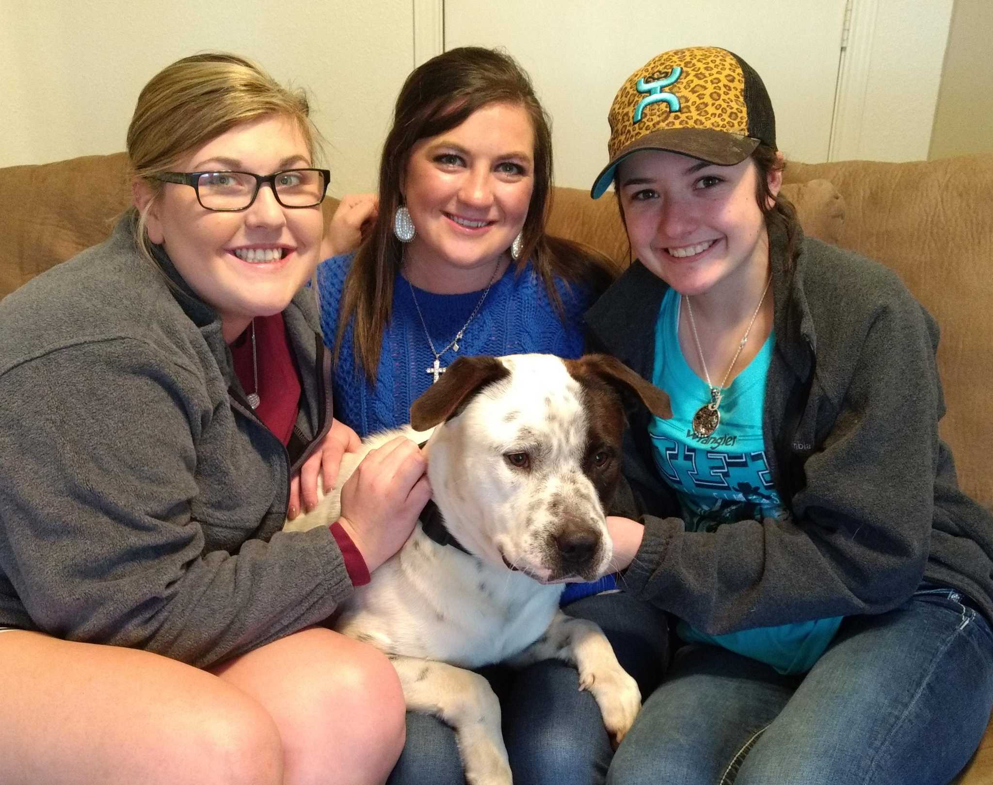 Thanks to social media, abandoned dog has new home