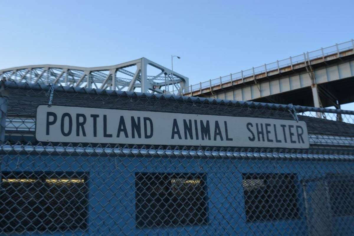 Portland and Middletown animal control offices share a shelter underneath the Arrigoni Bridge in Portland, near the Connecticut River.