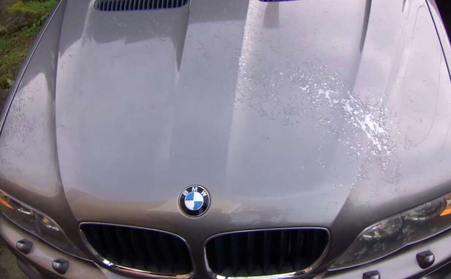 Wild West Cars And Trucks >> Vandals Target N Seattle Car Dealership With Corrosive Spray Wild West Cars And Trucks >> Vandals Target N Seattle Car Dealership With Corrosive Spray