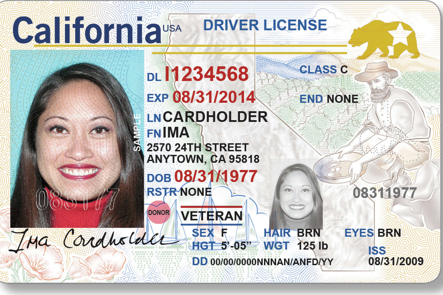 california drivers license barcode information