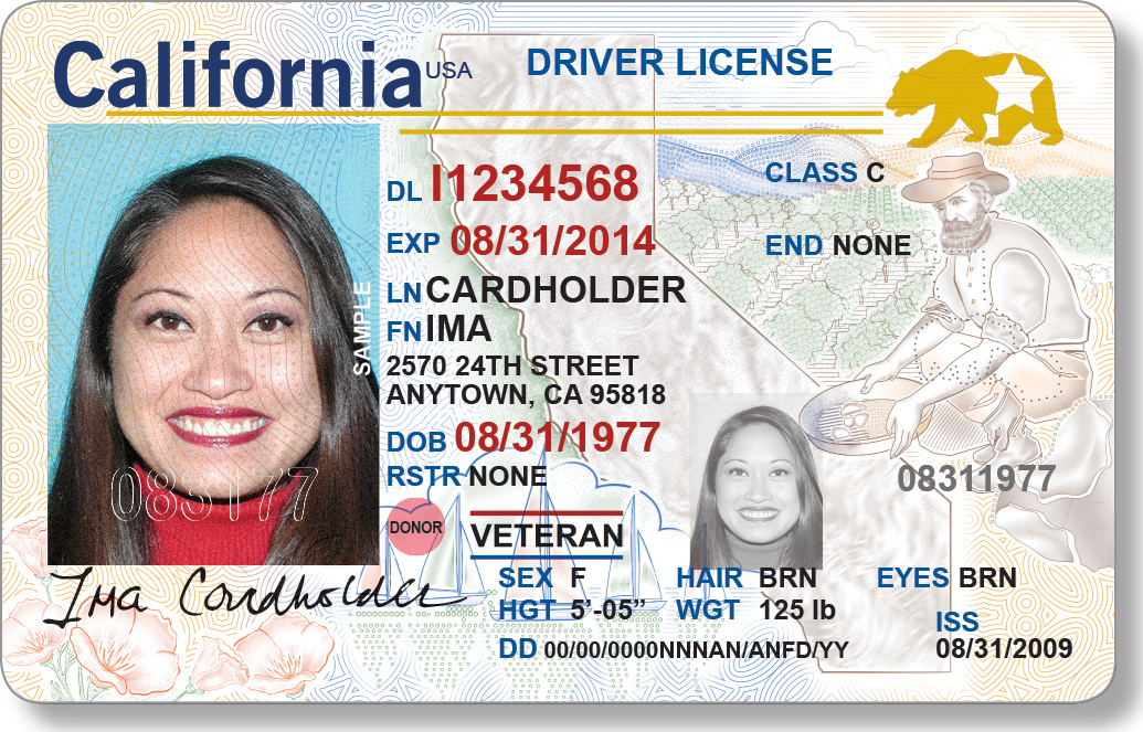 generate California Drivers license number