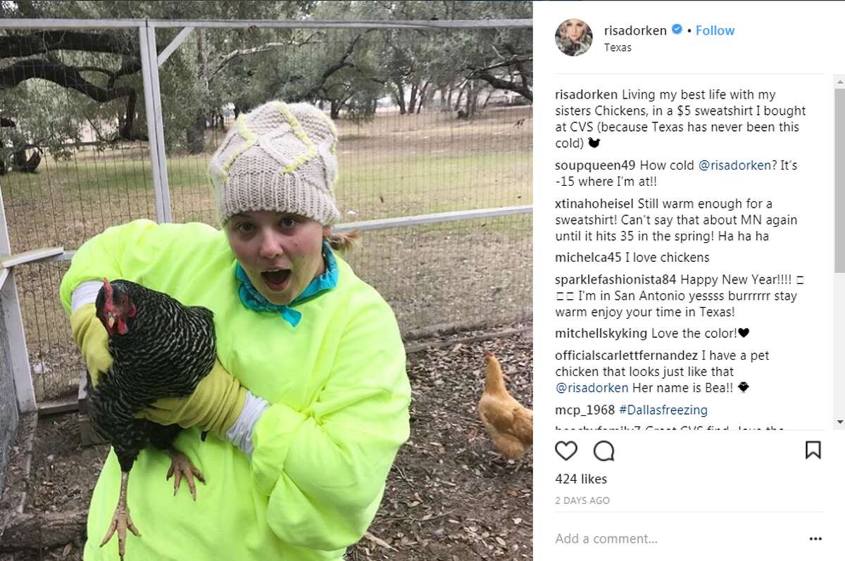 risadorken: Living my best life with my sisters Chickens, in a $5 sweatshirt I bought at CVS (because Texas has never been this cold)