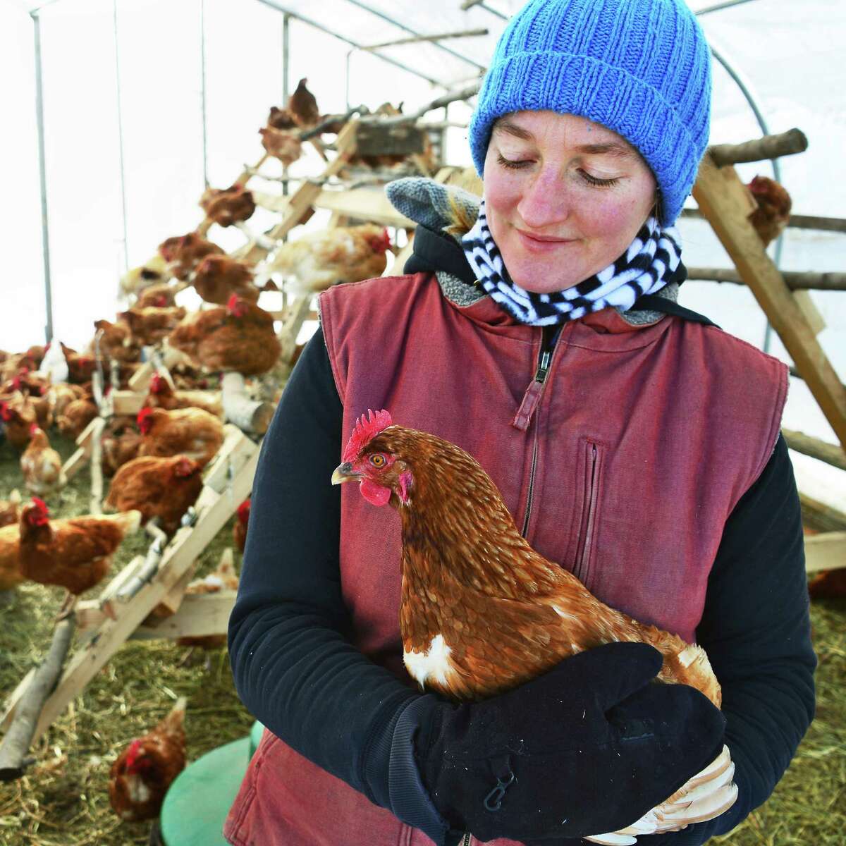 Annie Metzger with one of the chickens on her Laughing Earth Farm Thursday Dec. 14, 2017 in Cropseyville, NY. (John Carl D'Annibale / Times Union)