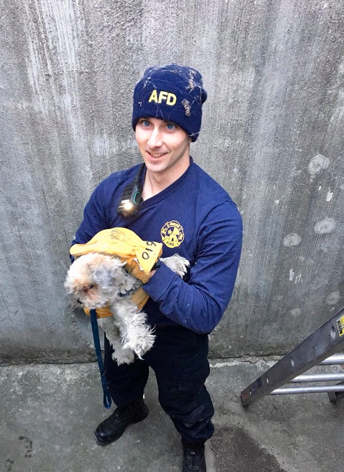 Photos: Austin firefighters rescue trapped dog