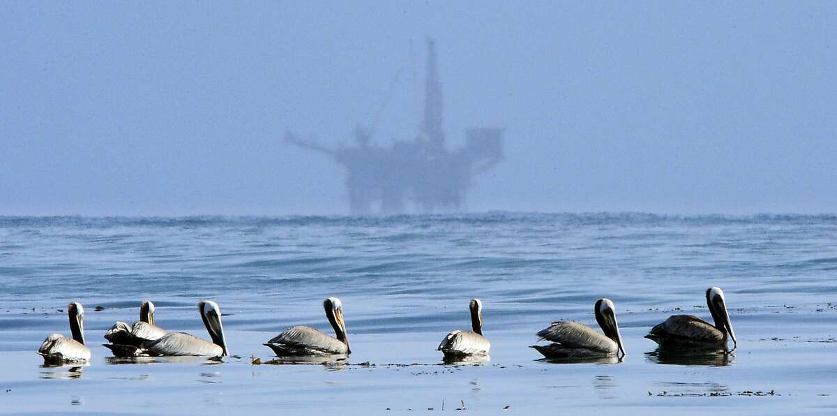 FILE - In this May 13, 2010 file photo, pelicans float on the water with an offshore oil platform in the background in the Santa Barbara Channel off the coast of Santa Barbara, Calif. The Trump administration on Thursday, Jan. 4, 2018 moved to vastly expand offshore drilling from the Atlantic to the Arctic oceans with a plan that would open up federal waters off the California coast for the first time in more than three decades. The Channel is one of those areas. (AP Photo/Mark J. Terrill, File)