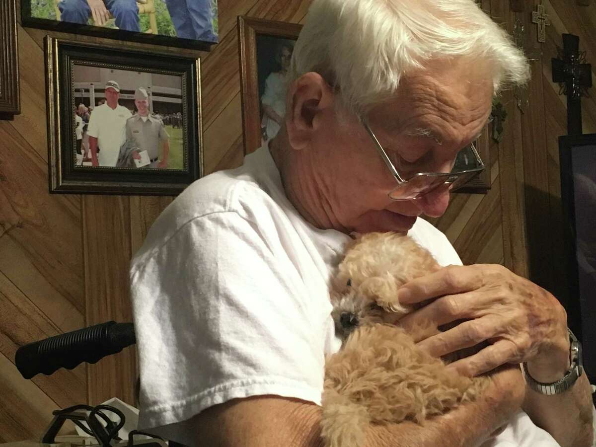 Chief is a 7-week-old Shih Tzu/Toy Poodle who joined the Arceneaux family on Dec. 28. Paul Arceneaux, 83, of Nederland had his left leg amputated in 2017 and was sincerely helped by their Chihuahua Gabby, who passed away on Christmas Day. Photo: Morgan Gstalter/Beaumont Enterprise