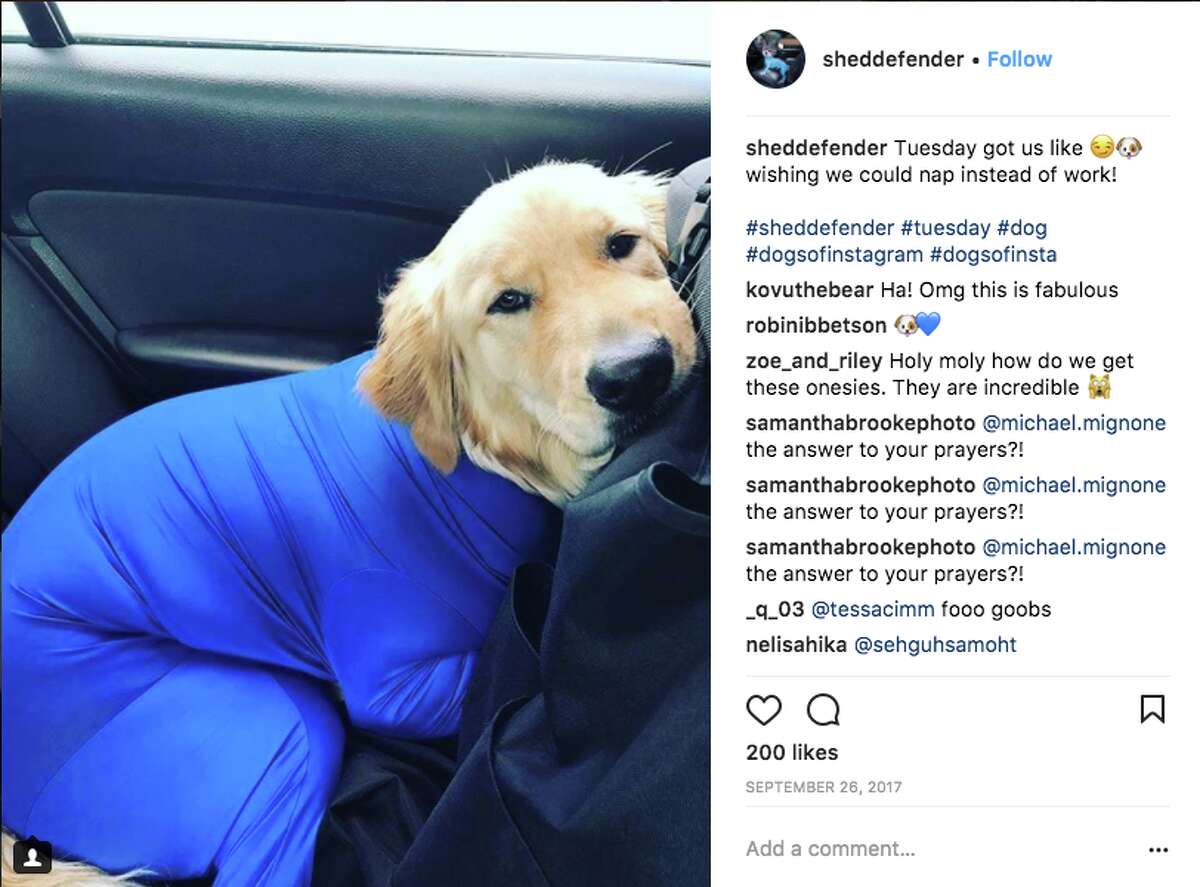 dog leotard for shedding