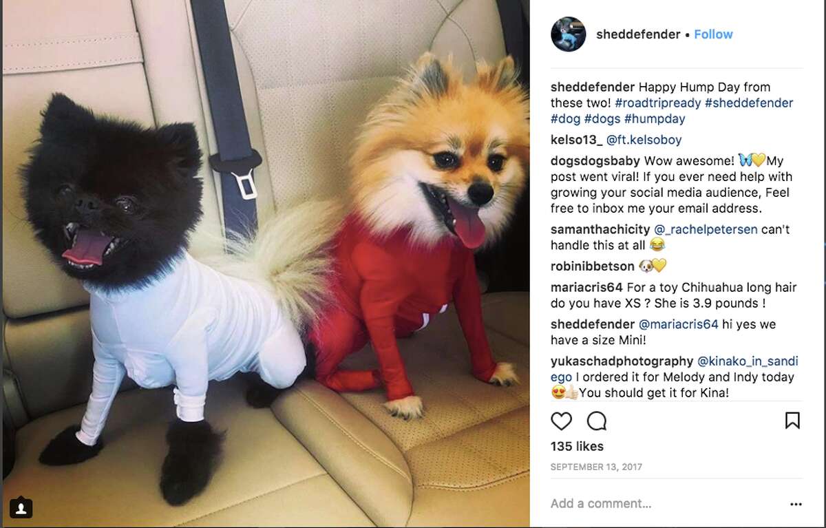 dog leotard for shedding