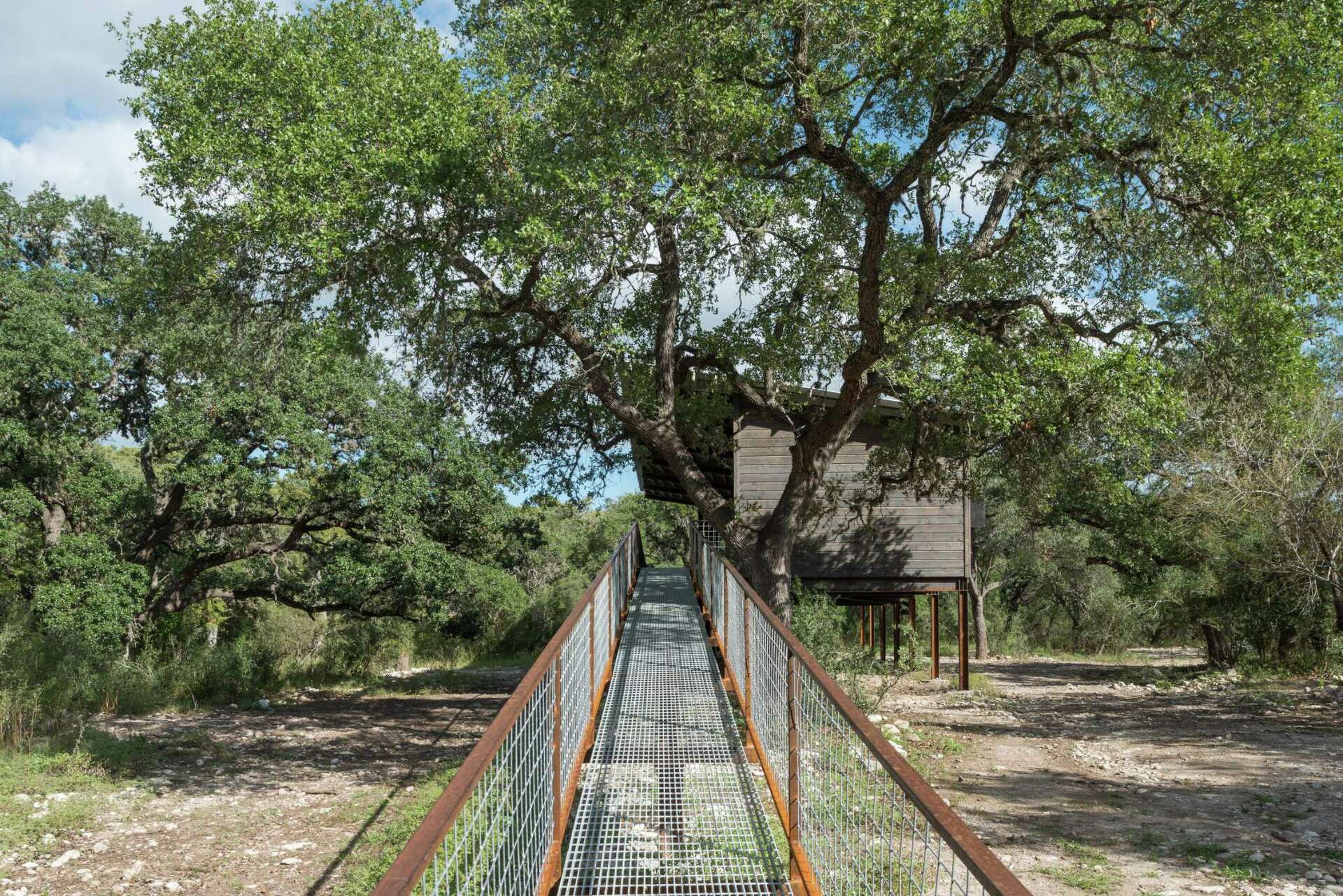 Sabinal Tree San Antonio couple gets off the grid in comfort