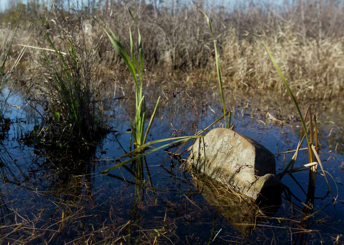 A headstone is seen partially submerged by water in Sweet Rest Cemetery, Saturday, Jan. 13, 2018, in the historic Tamina community. The 12-acre cemetery is the resting place for approximately 261 members of the founding Montgomery County community founded by freed slaves near The Woodlands.