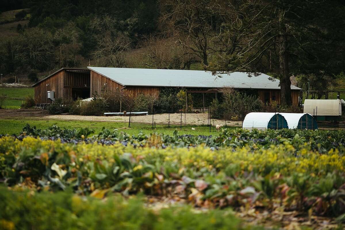 Front Porch Farm in Healdsburg, a supplier for Shed, one of the Sonoma County restaurants recognized by the Slow Food Snail of Approval. 