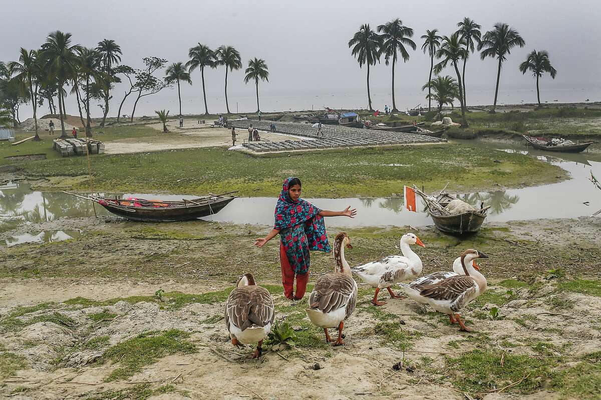 In this Nov. 17, 2015 photo, 12-year-old Moly, whose family lost their home to the river, helps tend to her family's poultry in the island district of Bhola, where the Meghna River spills into the Bay of Bengal, Bangladesh. Bangladesh is considered one of the world's most vulnerable countries to climate change. (AP Photo/Shahria Sharmin)