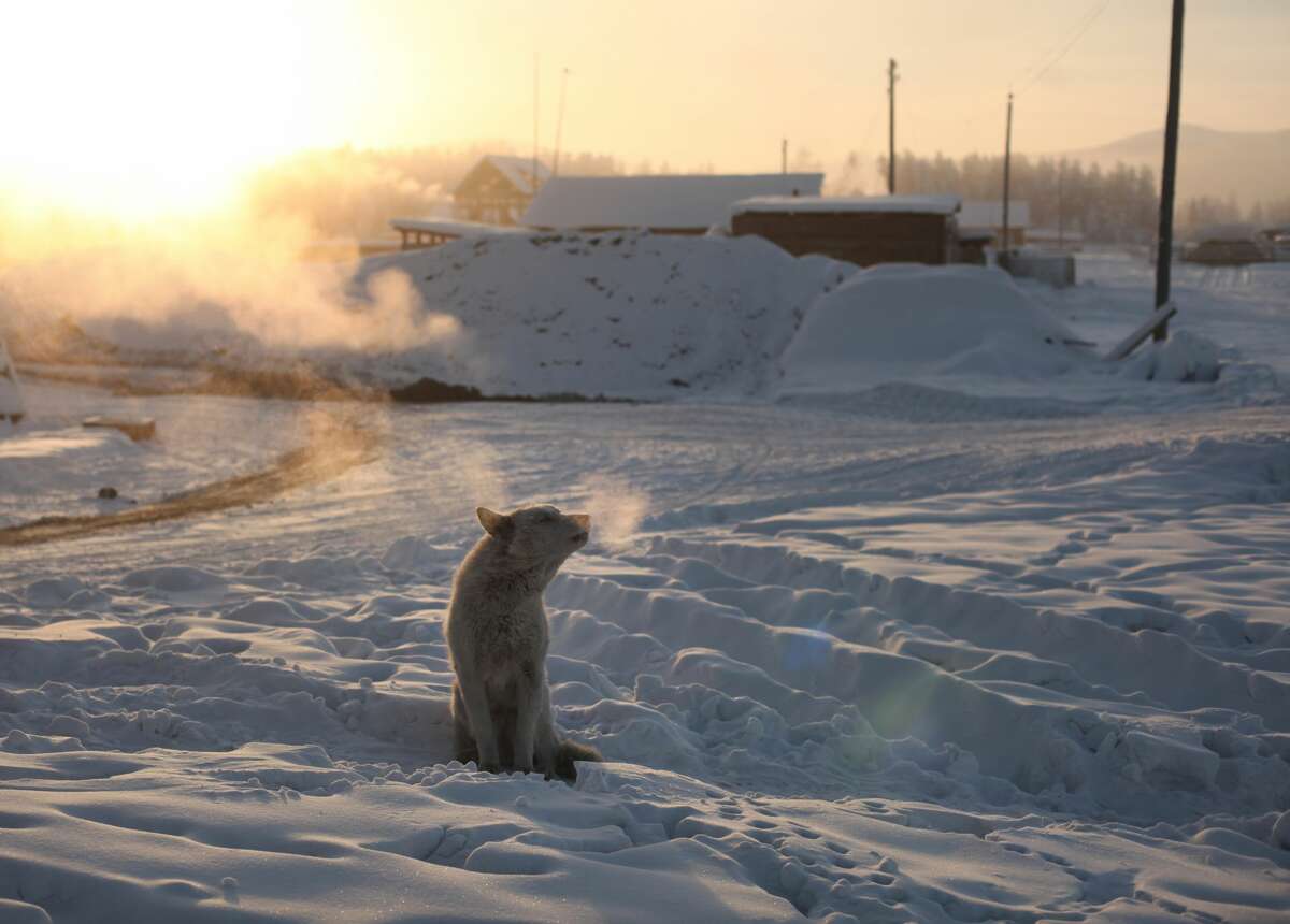 In Oymyakon Russia Its Currently Cold Enough To Shatter Thermometers