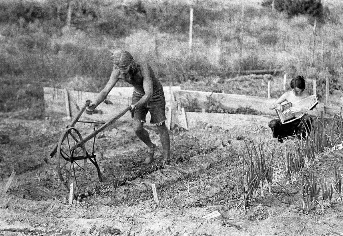 A man plows his field while a woman plays an autoharp in 1969 in New Mexico.