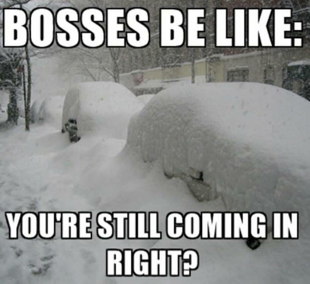 bosses be like meme snow