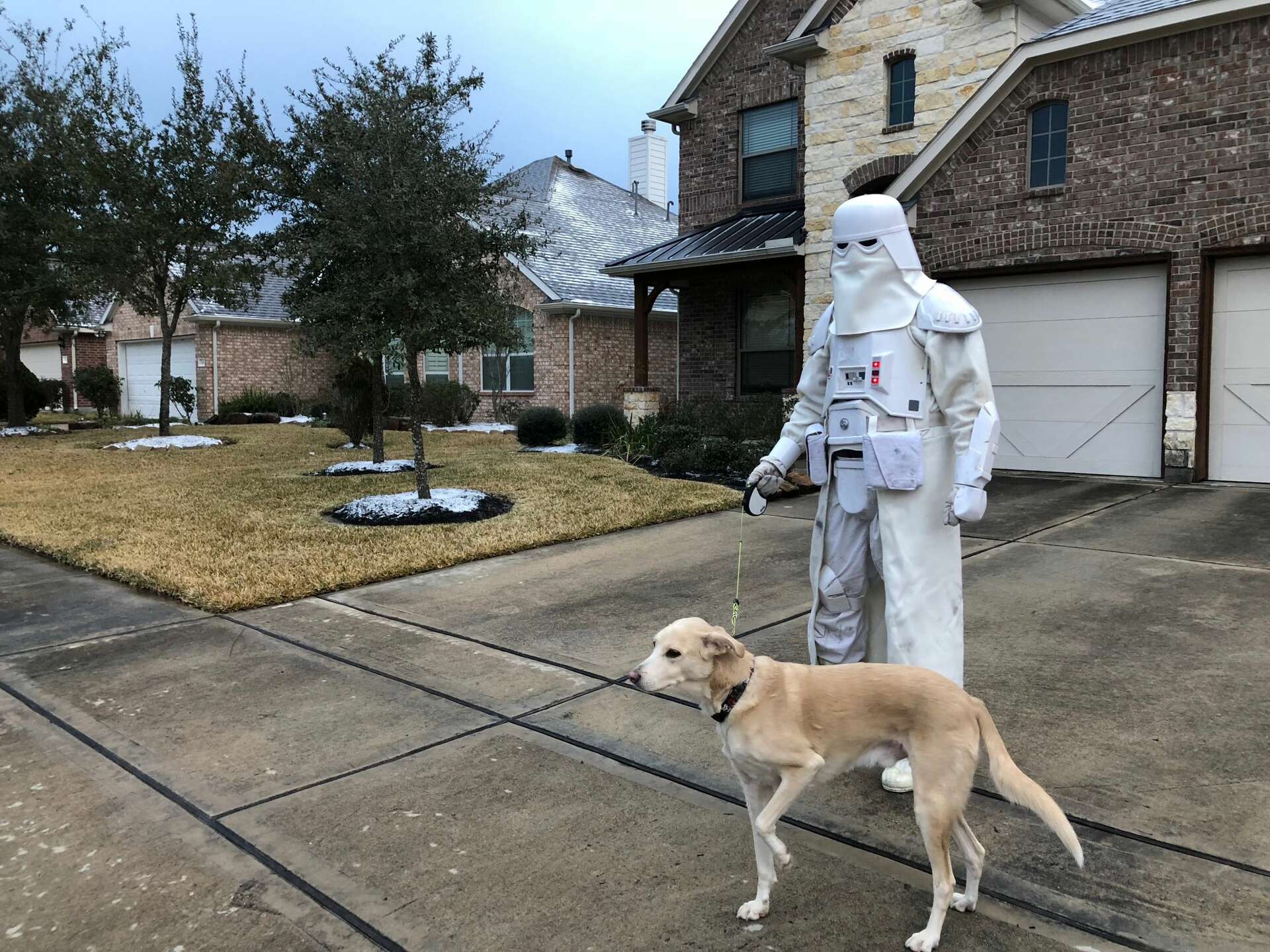Houston man walks his dog through the cold and ice dressed as a