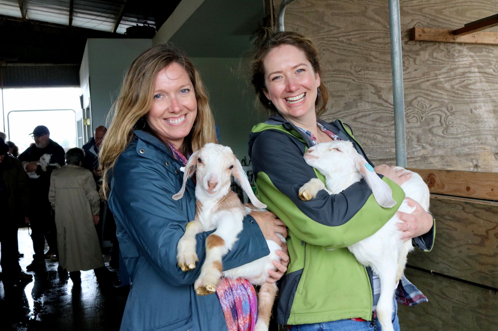 Artisan Cheese Festival bringing 100plus cheesemakers, bakers