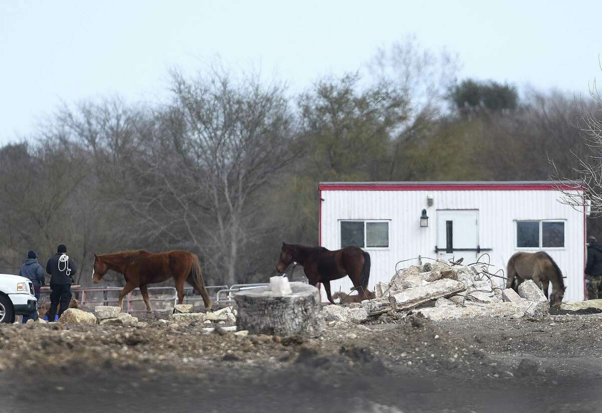 Animal Care Services personnel look over a property in the 12500 block of Old O'Connor Road where horses and a donkey were seized Wednesday after a two-week investigation.