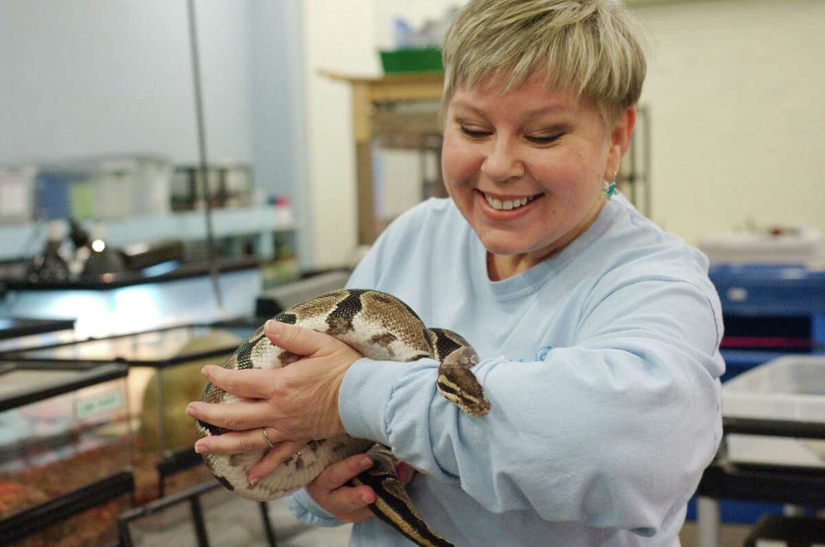 Living Materials Center manager Heather Green handles a ball python at the center.