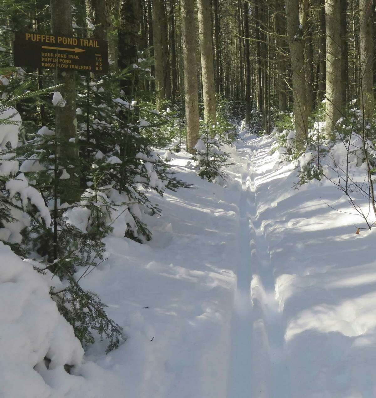 The Hour Pond Loop follows part of the Puffer Pond Trail near Thirteenth Lake in the Central Adirondacks. A newly convened state task force will attempt to settle trail maintenance issues after a landmark court decision. (Herb Terns/Times Union archive)
