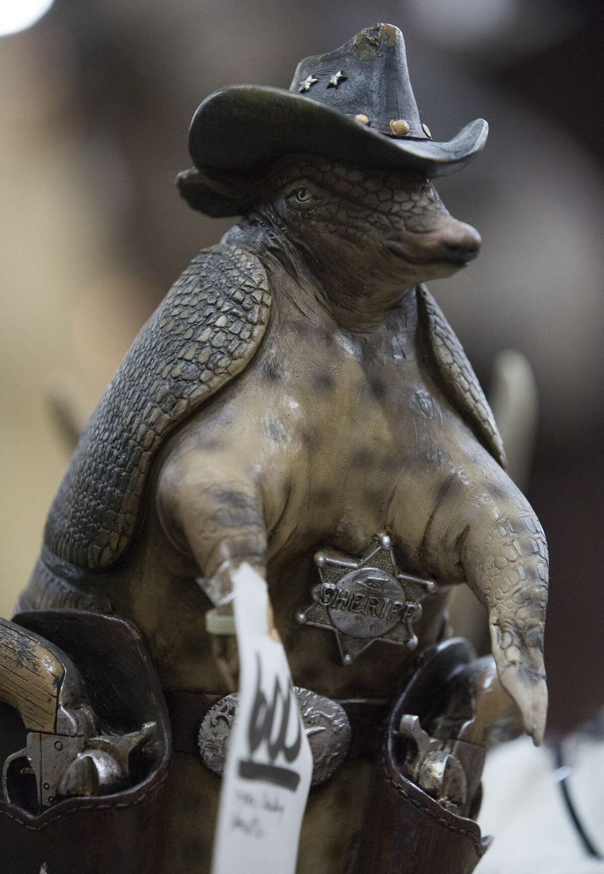 taxidermy armadillo