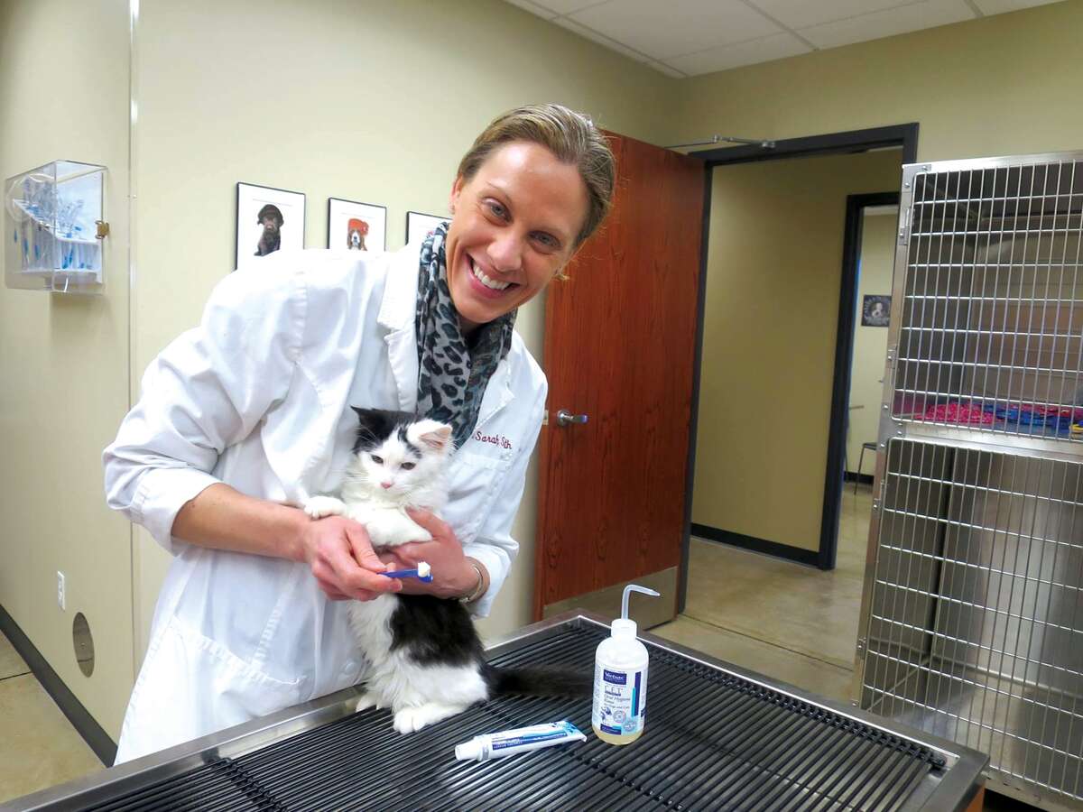 Dr. Sarah Smith of Ark Animal Hospital with a kitten.