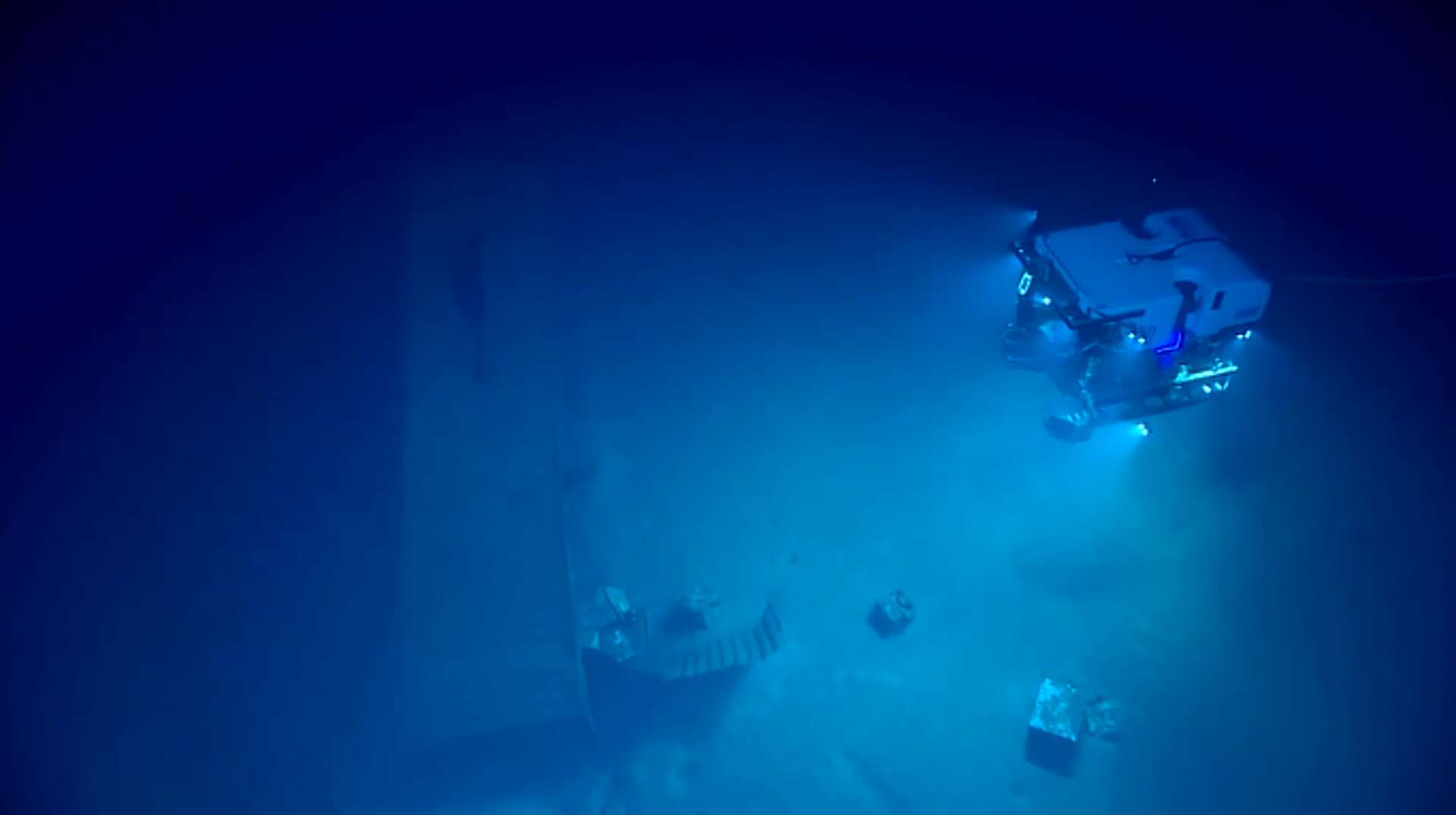 Bottom Of The Ocean Unknown Species Hauled Up In Bottom Trawling Nets