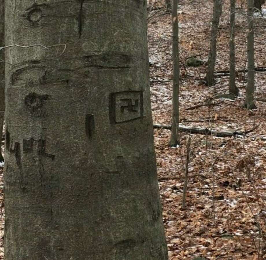 Swastika found carved on tree in Redding - NewsTimes