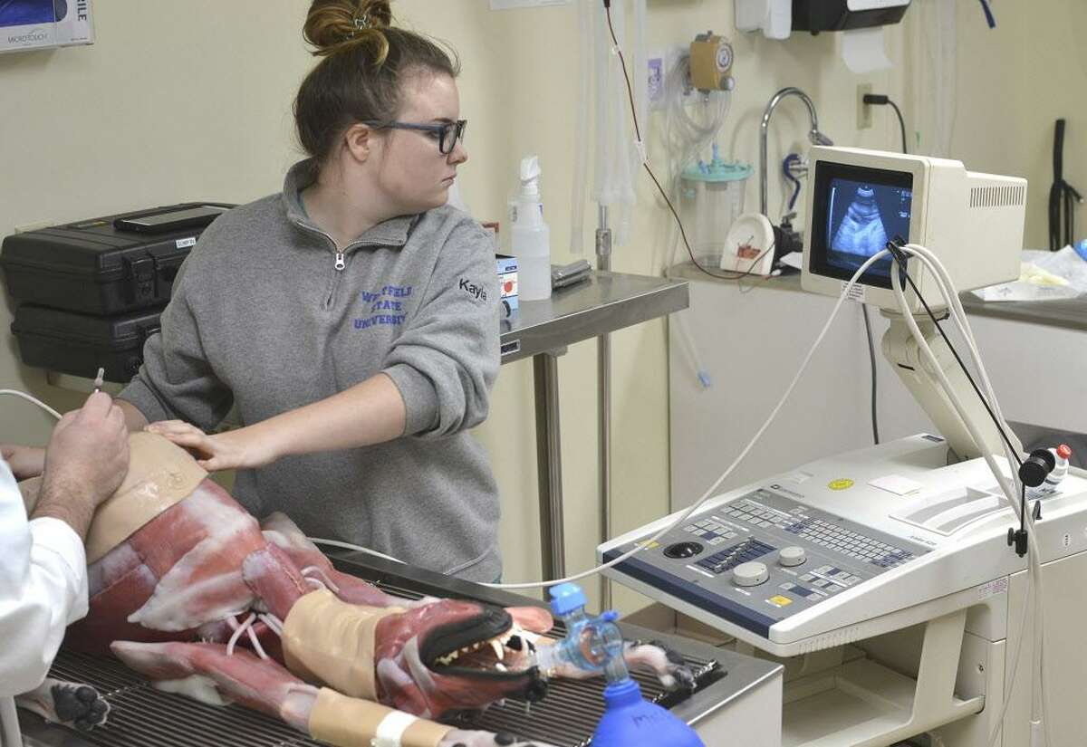 Bristol-Myers Squibb recently donated $30,000 worth of equipment to Middlesex Community College for its veterinarian students in Middletown.