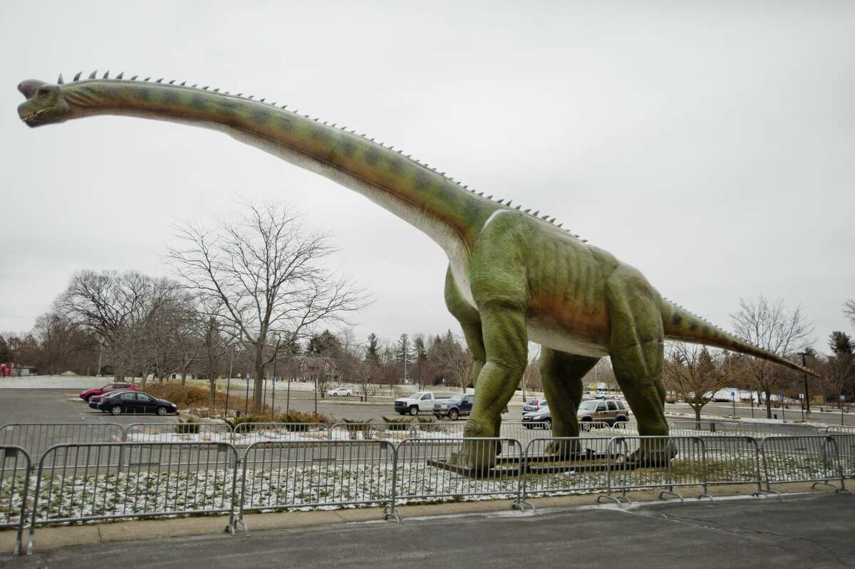 A large animatronic dinosaur stands tall in front of the Midland Center for the Arts on Wednesday, Jan. 24, 2018. The brachiosaurus is part of a new exhibition called "Giant Mysterious Dinosaurs," which opens on Saturday, Jan. 27 and includes roughly 30 different features. (Katy Kildee/kkildee@mdn.net)