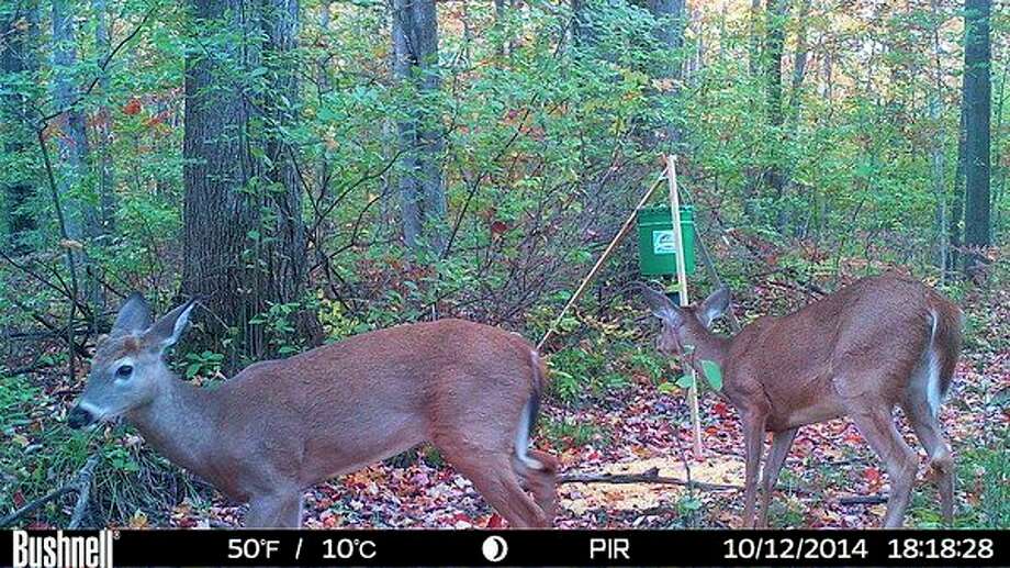 Steve Griffin Group ban on deer feeding, baiting to battle