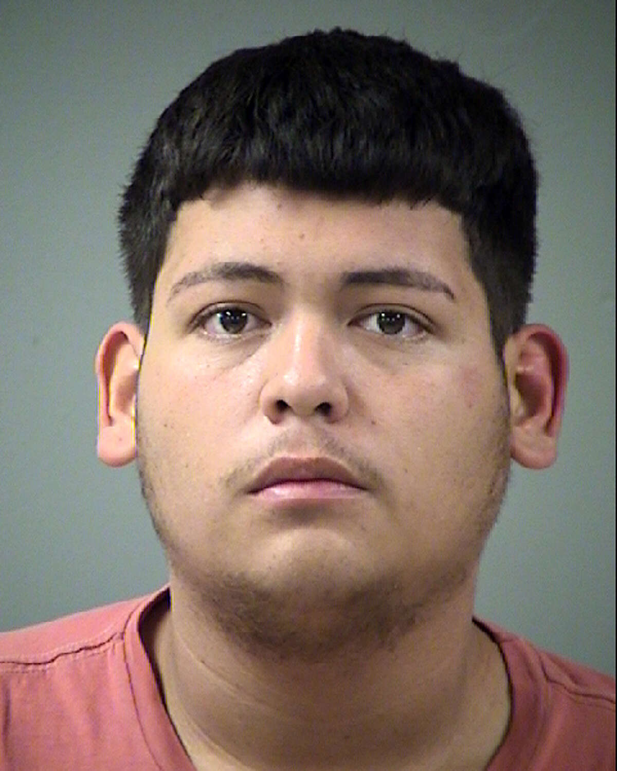 The alleged dog napper, 21-yeaer-old John Michael Garcia, now faces a charge of theft between $2,500 and $30,000.