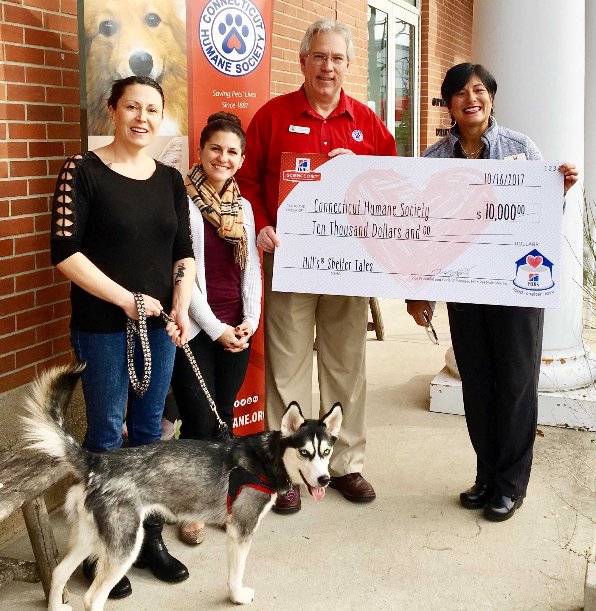 Narly, alaskan klee kai - Dog Photo Contest