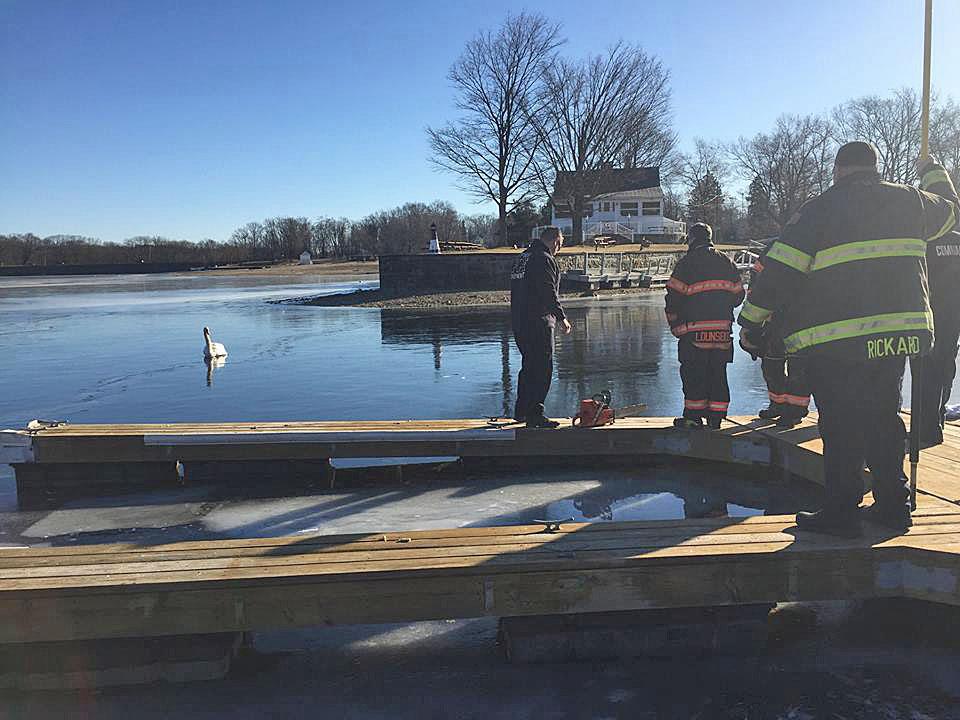 Danbury fire crews help swan stuck in ice