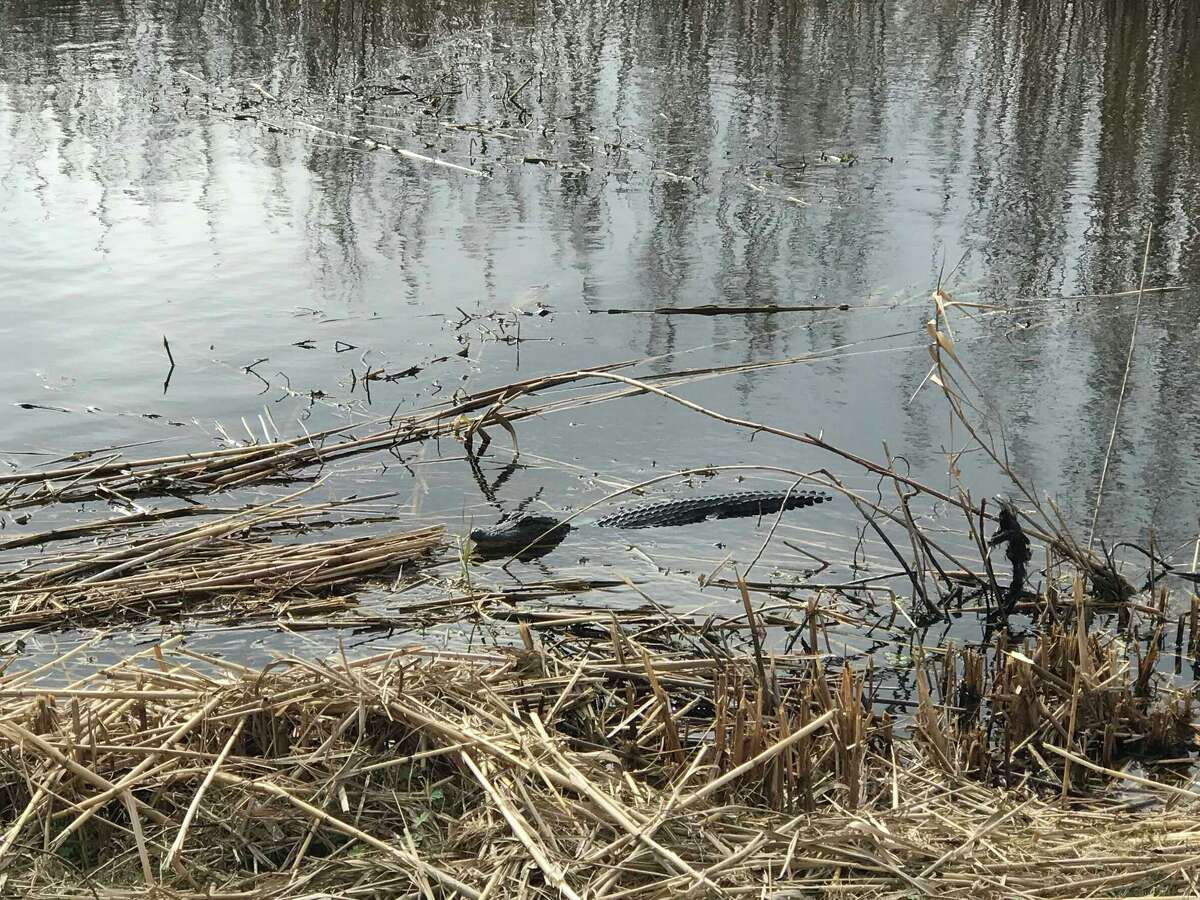 Where to stay and play in Lake Charles