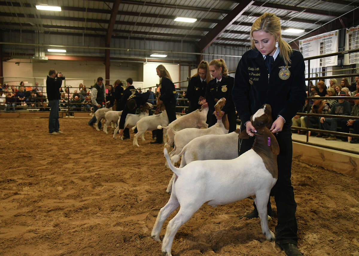 Tomball students showcase animal raising skills at annual FFA show
