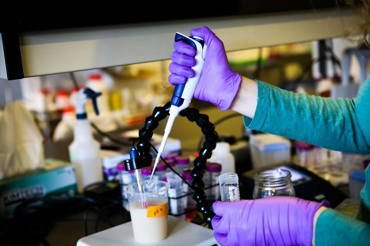 Associate scientist, Bridget Smith runs experimental tests on protein separation, at the Ripple Foods' test lab in Emeryville, California on Thursday, December 17, 2015.