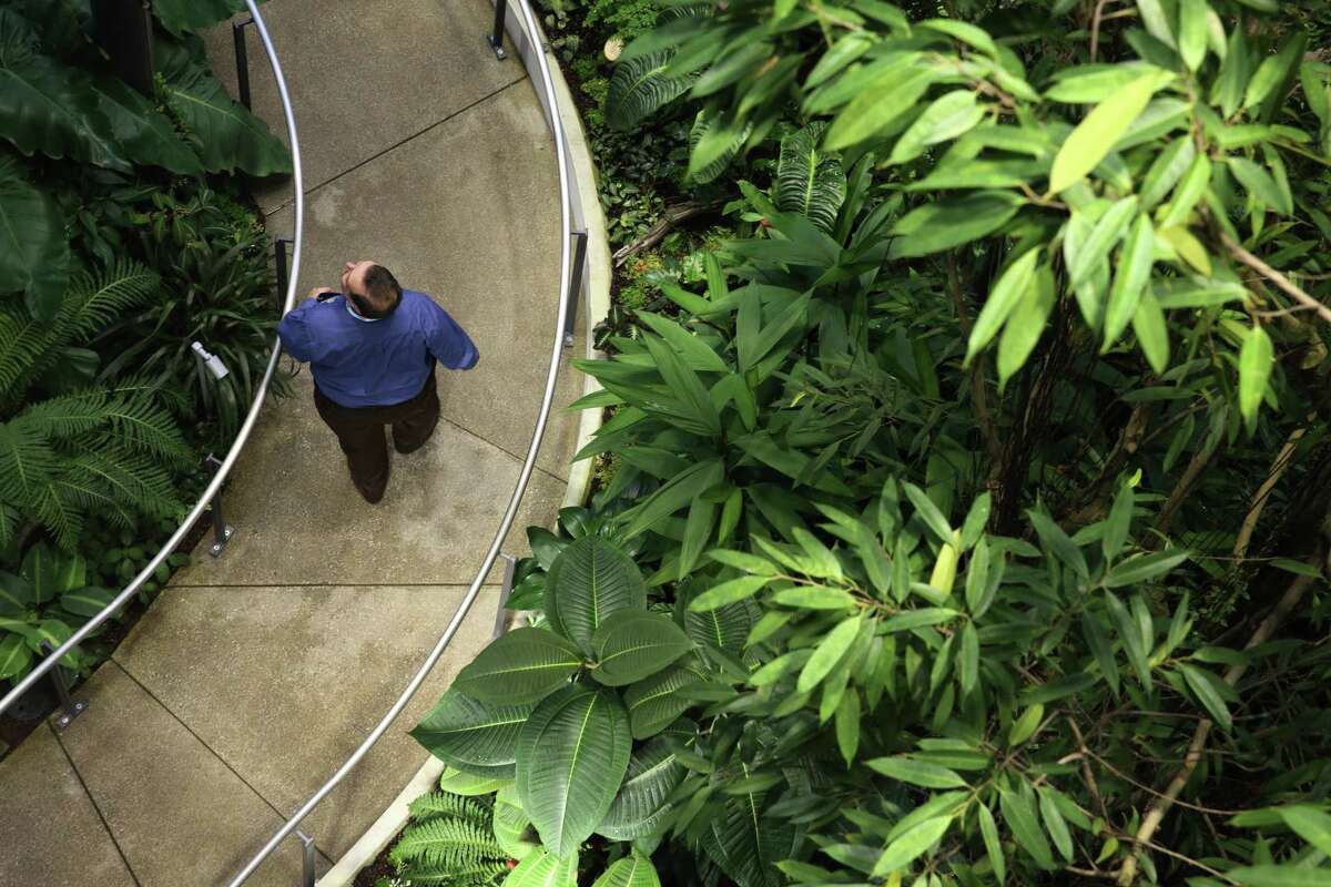 Guests explore the Amazon Spheres during an opening day unveiling event, Monday morning, Jan. 29, 2018. The Spheres are an innovative workplace filled with more than 40,000 plants from around the world, that will be available to Amazon employees beginning this week.