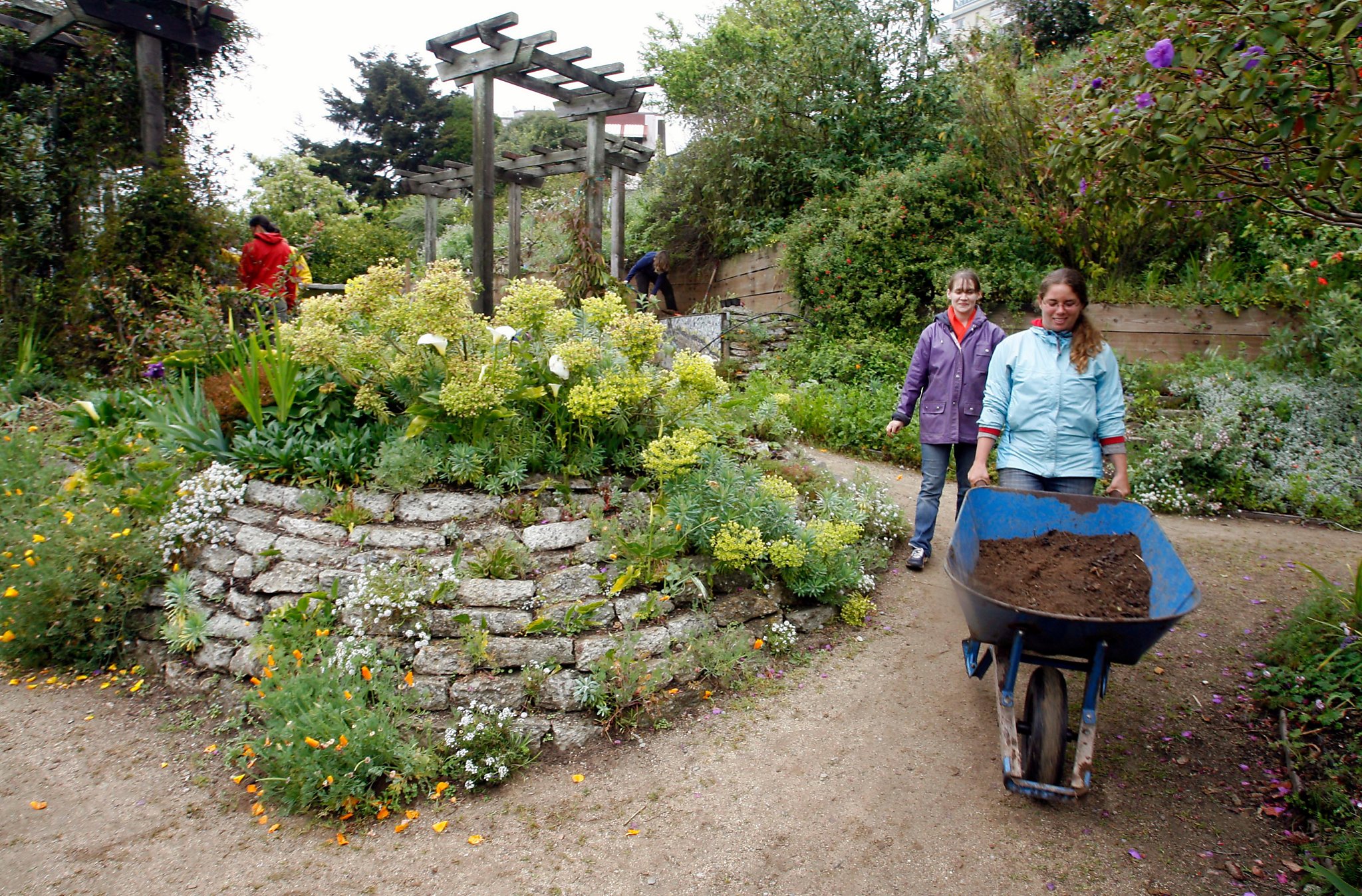 Garden Workshops For A Bountiful Spring SFChroniclecom